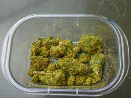 Weed in Southend-on-Sea